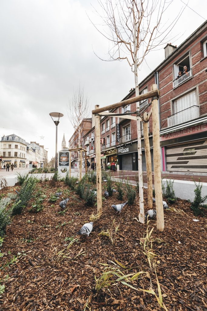 Rouen – Concéntrico